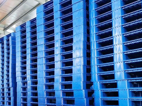 Pallet nhựa